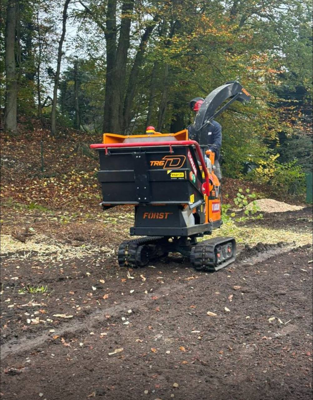 Mini-pelle en action dans un environnement forestier